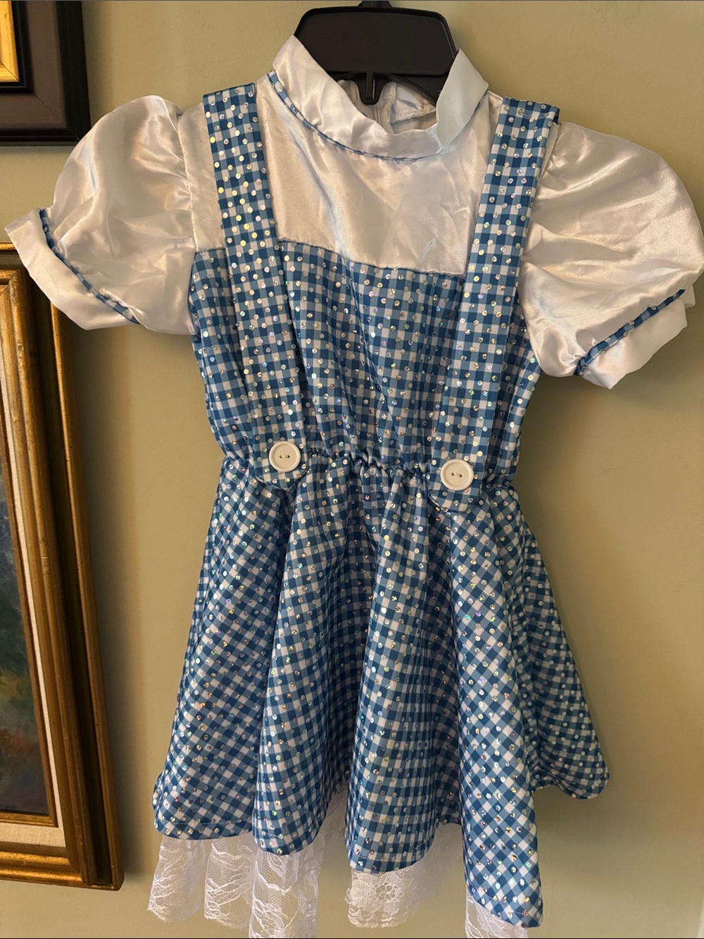 Dorothy Wizard of Oz Gingham Pinafore Dress Halloween Costume Girls Small 4-5 yr